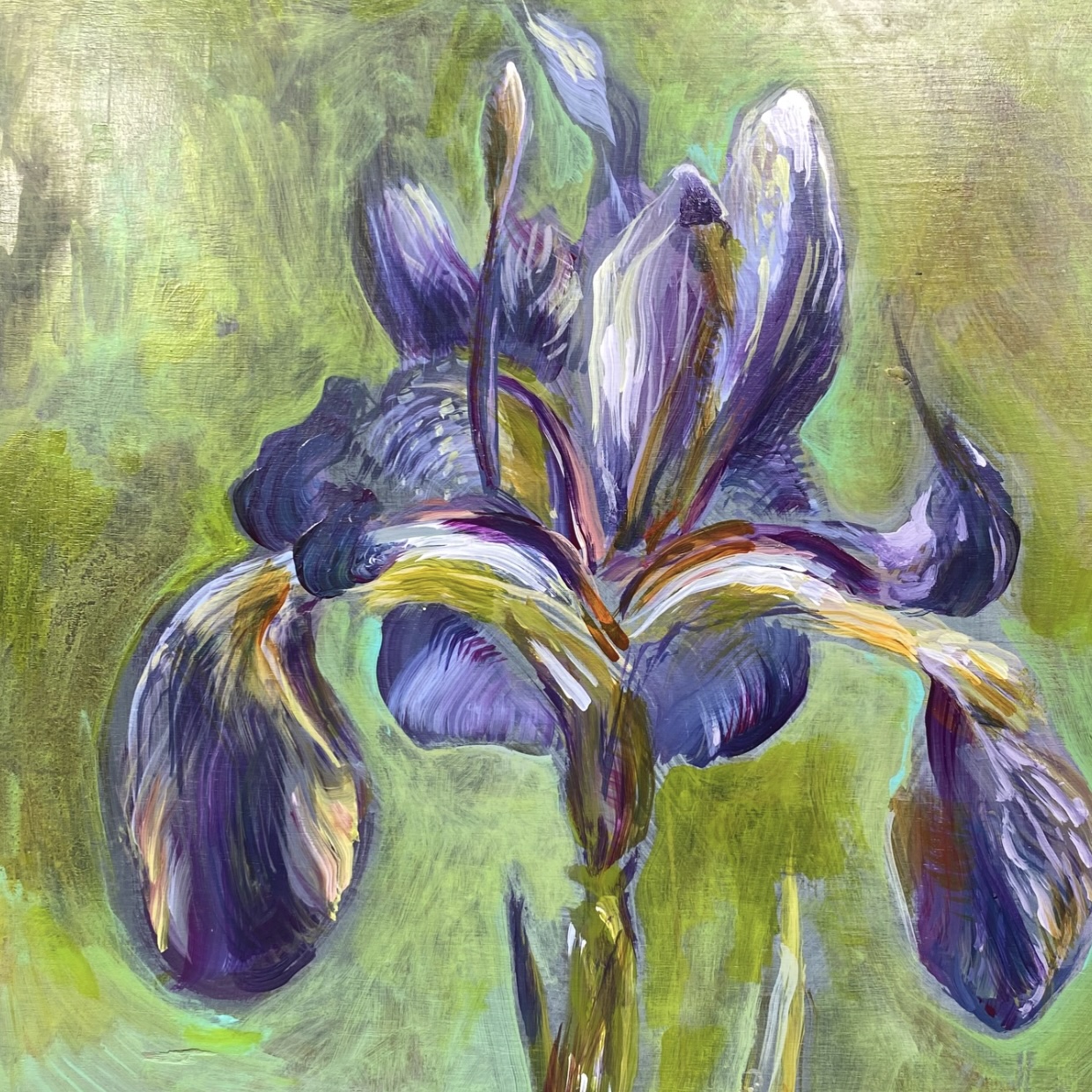 An iris painted in acrylic, shown at Gallery 9