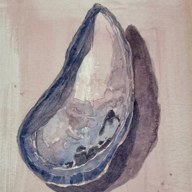 An oyster shell study in watercolour, shared on Instagram