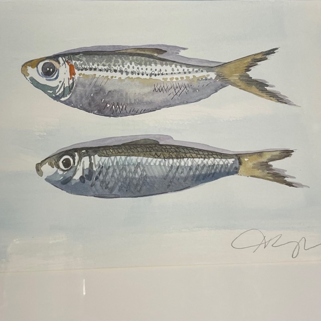 Two silver fish painted in watercolour, shared on Instagram