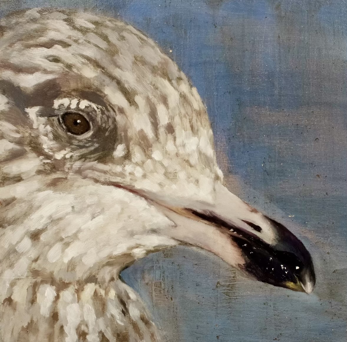 Seagull by Tara Bilotta, shown at Gallery 9