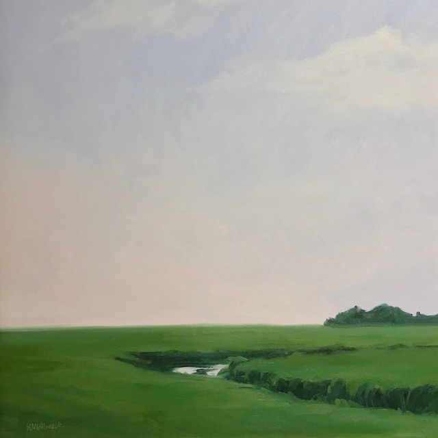 Green marsh under an open sky, shared on Instagram
