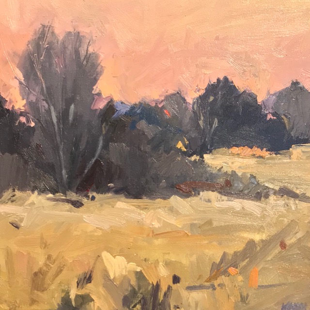 Trees against a pink sky, shared on Instagram